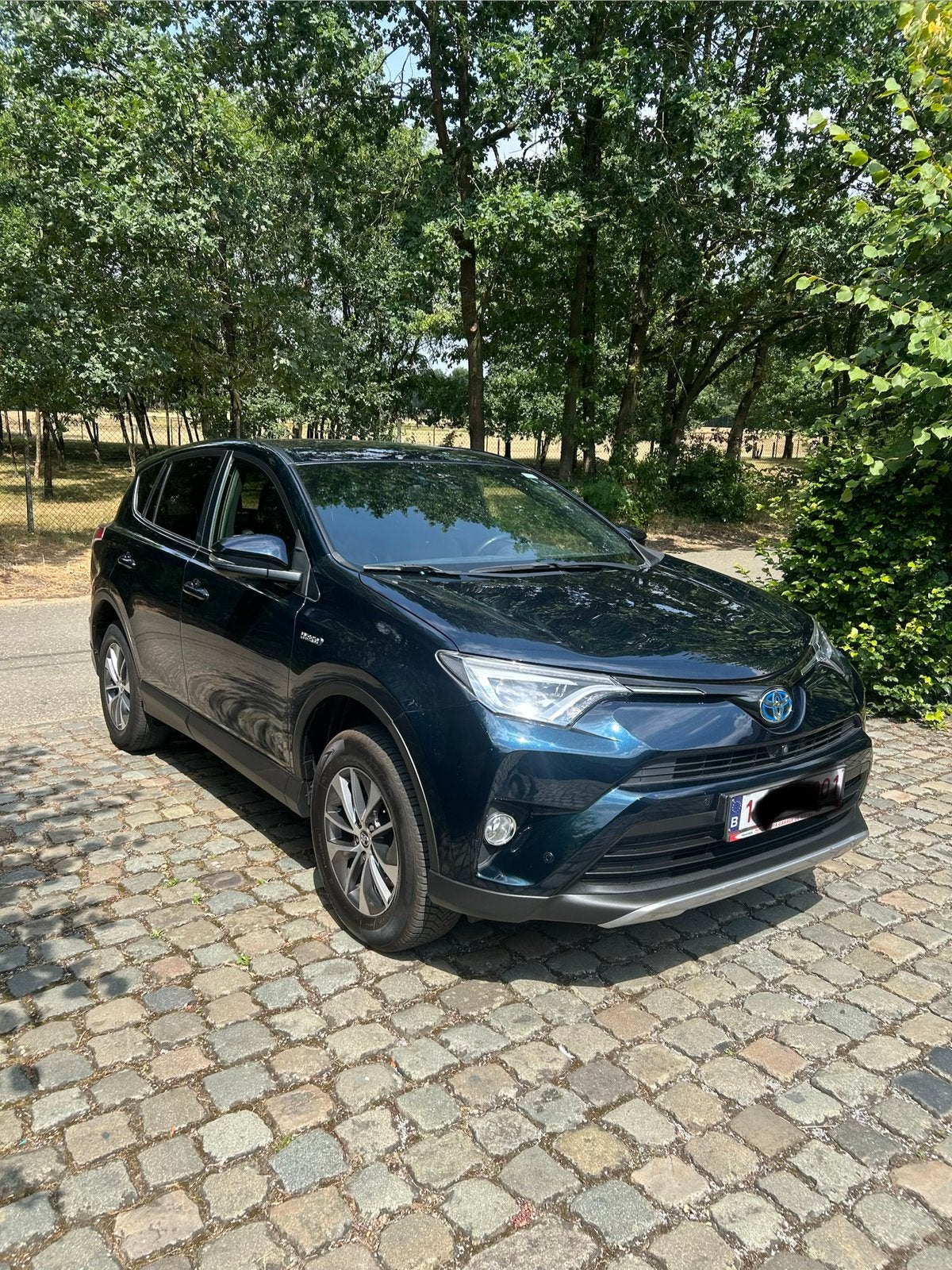 Ra4 hybrid 2.5 elek/benzine, Euro 6, 5 deurs, Rav4, SUV of Terreinwagen