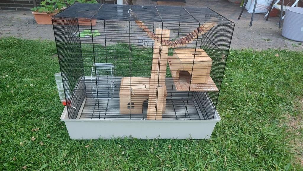 Kooi voor ratten, muizen en andere knaagdieren, Dieren en Toebehoren, Knaagdieren en Konijnen | Toebehoren, Ophalen