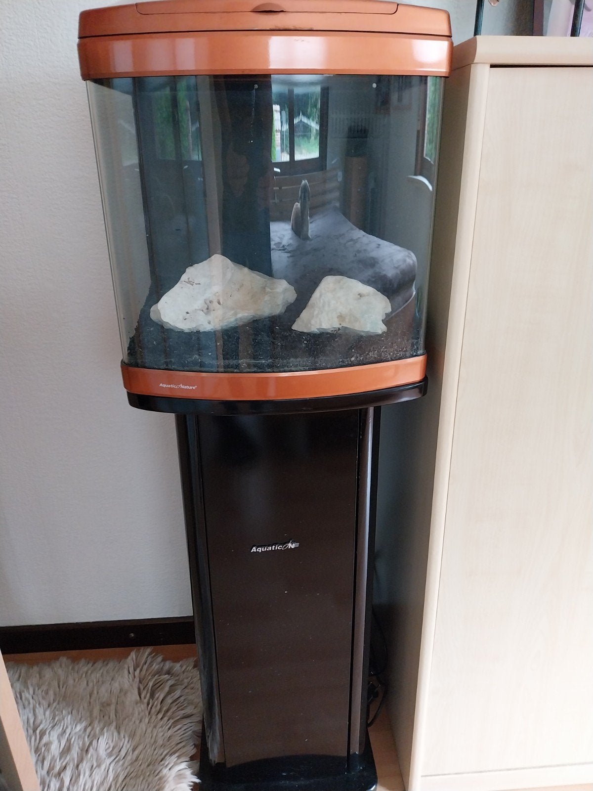 Aquarium evolution, Enlèvement, Chauffage