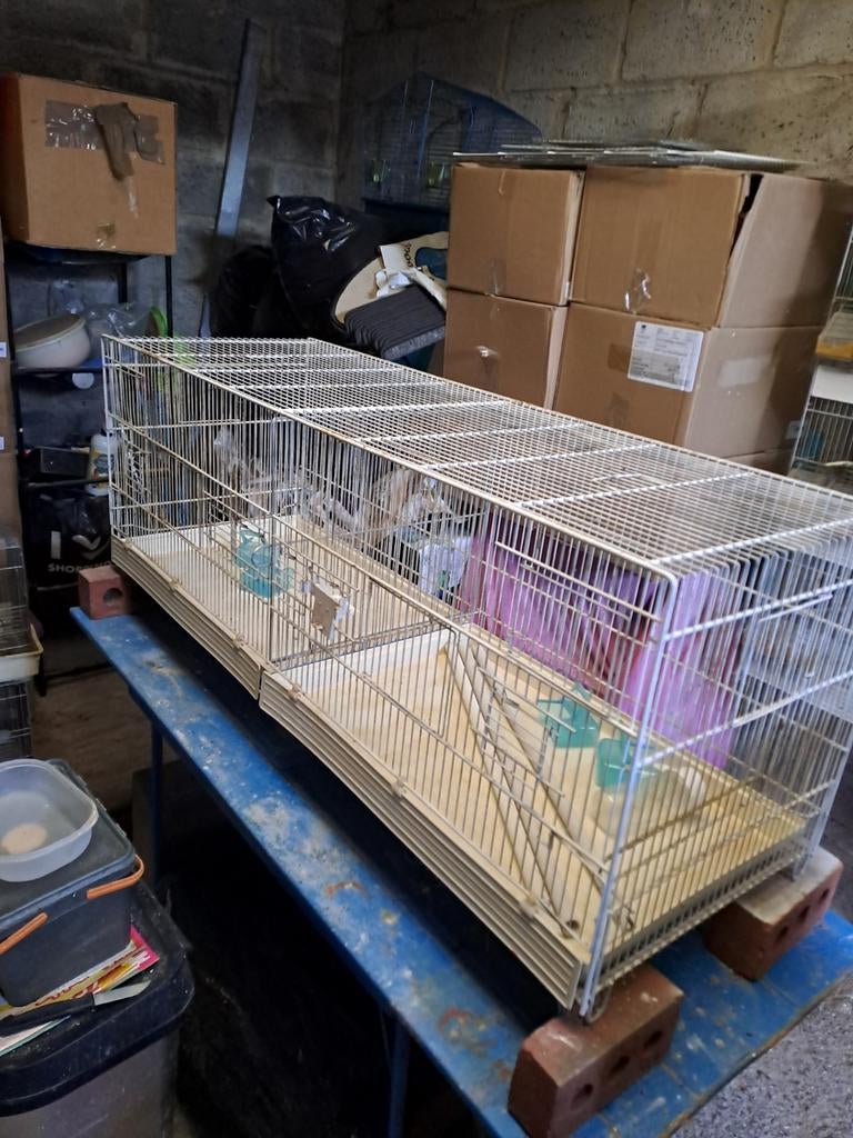 Cage de vol, Enlèvement, Cage