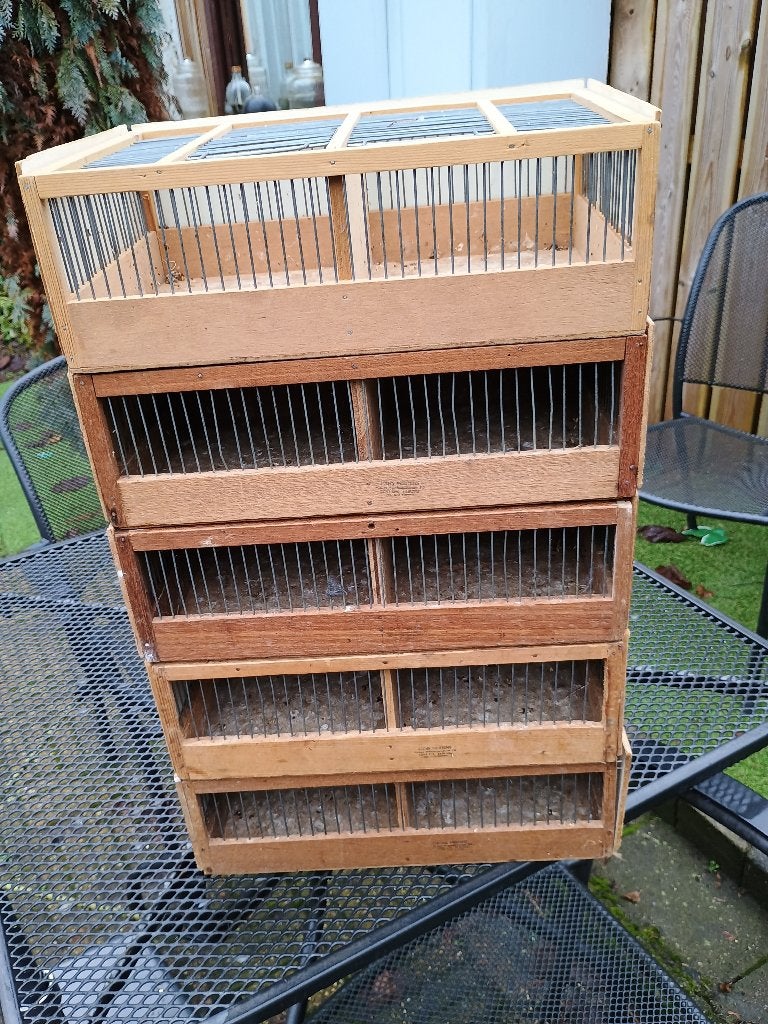 5 vogel transsport kooien, Dieren en Toebehoren, Ophalen, Zo goed als nieuw, Hout, Vogelkooi