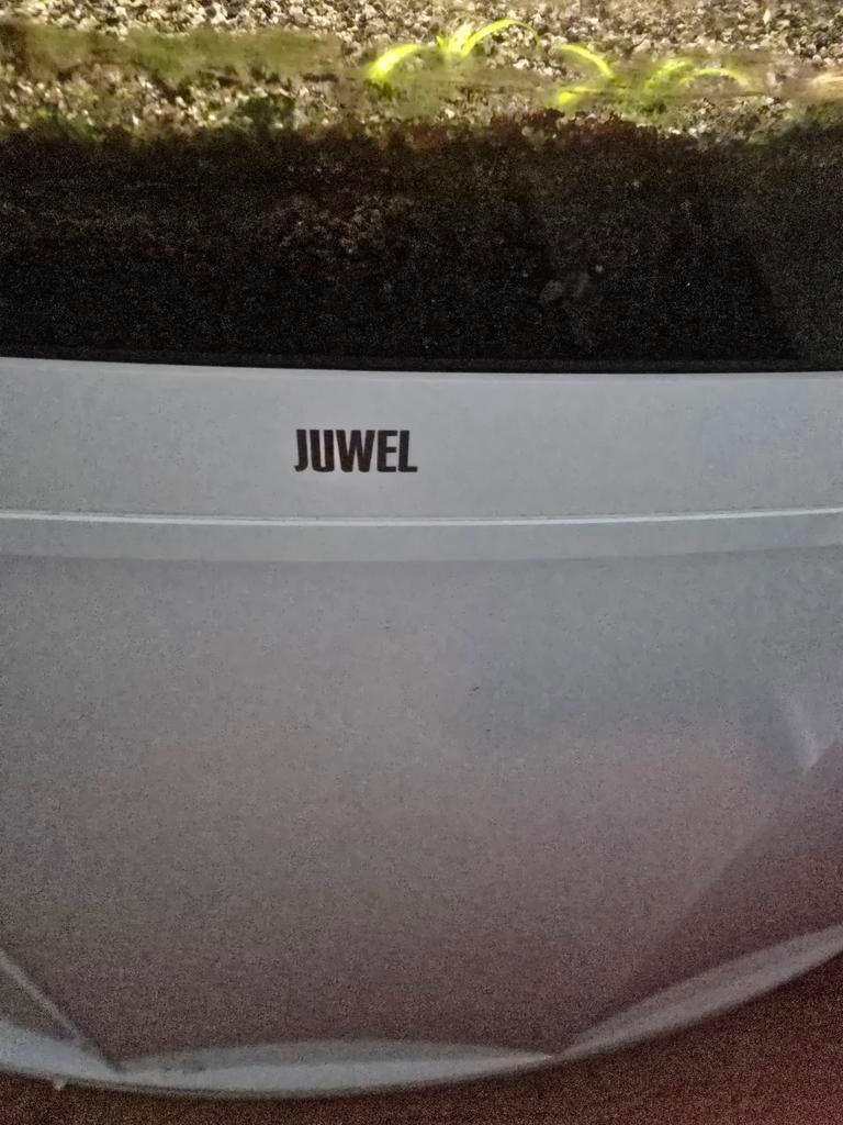 Aqarium juwel, Dieren en Toebehoren, Ophalen, Filter, JBL