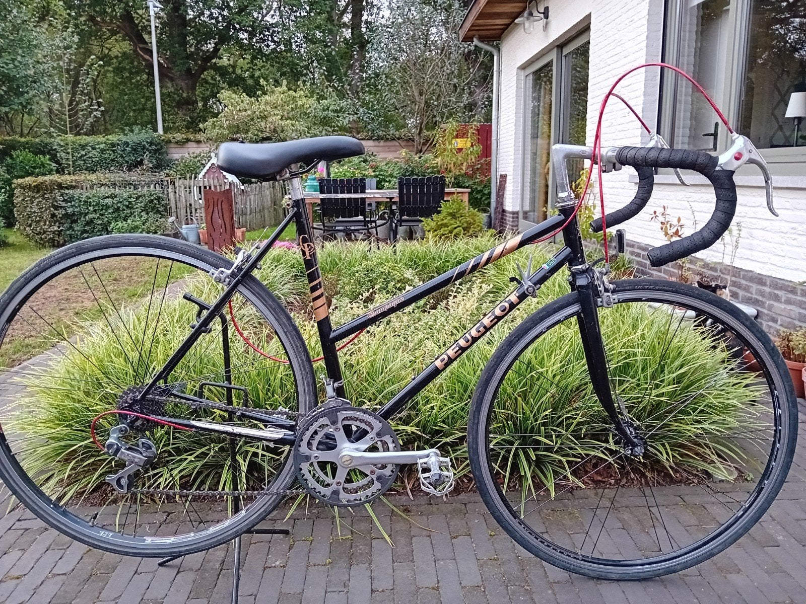 vélo de course vintage, vélo de course, vélo de course Peuge, Autres marques, Frein sur jante, 53 à 56 cm, Comme neuf
