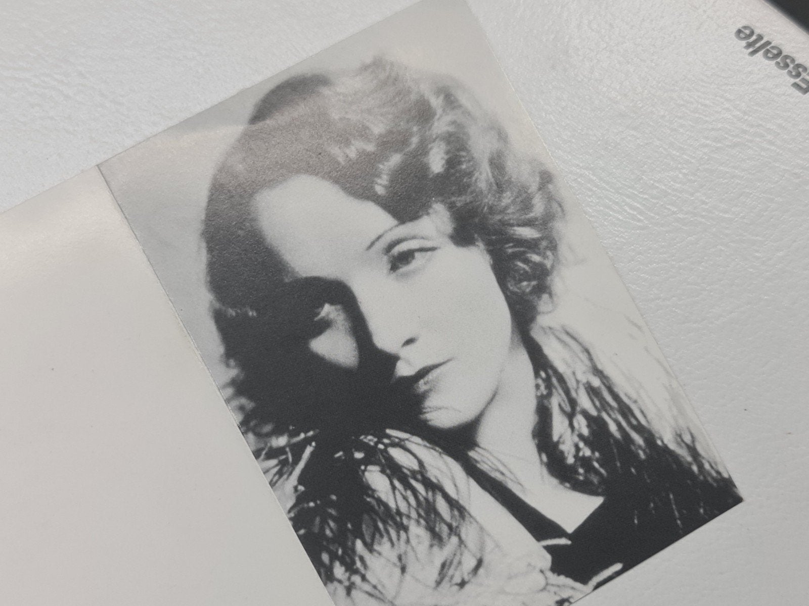 Marlene Dietriech, Ophalen of Verzenden