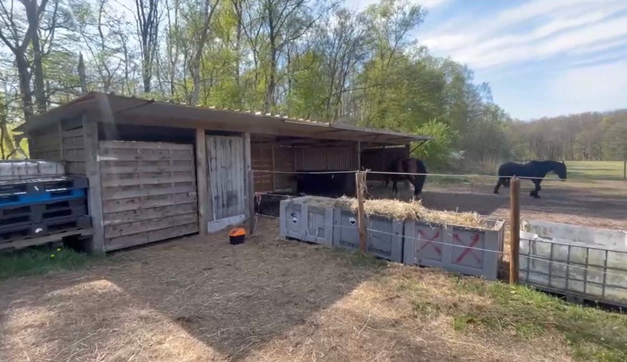 Paardenstal / Schuilstal, Dieren en Toebehoren, Stalling en Weidegang, Stalling, 2 of 3 paarden of pony's