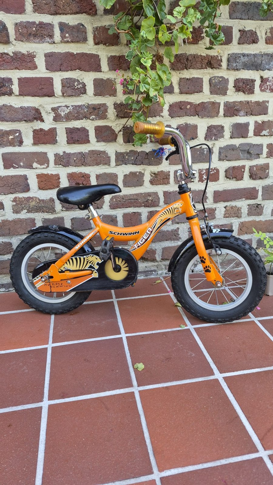 Kinderfiets Schwinn Bike, Vélos & Vélomoteurs, Vélos | Garçons, Frein à rétropédalage, Enlèvement, Utilisé, 14 pouces ou moins