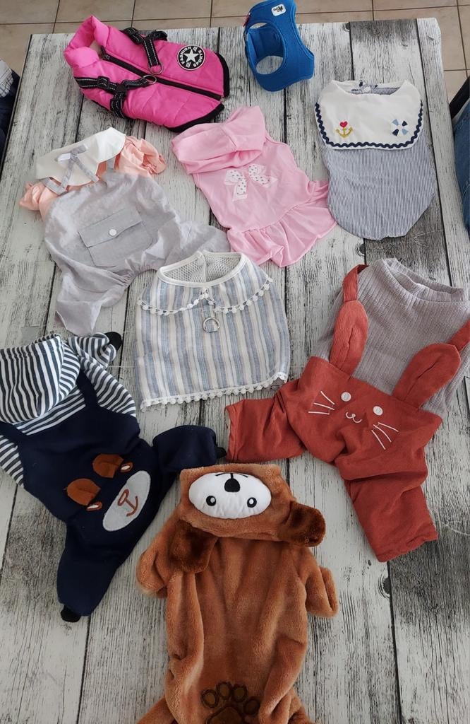 Hondenkleding, jasje en harnas voor klein hondenras, Dieren en Toebehoren, Ophalen