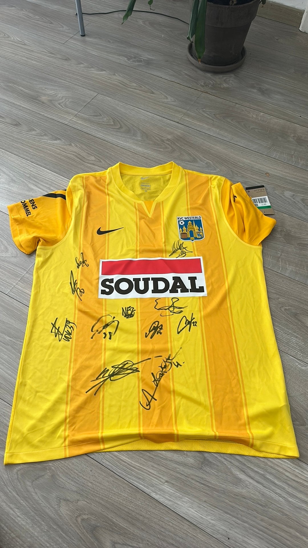 KVC Westerlo, Enlèvement ou Envoi, Neuf