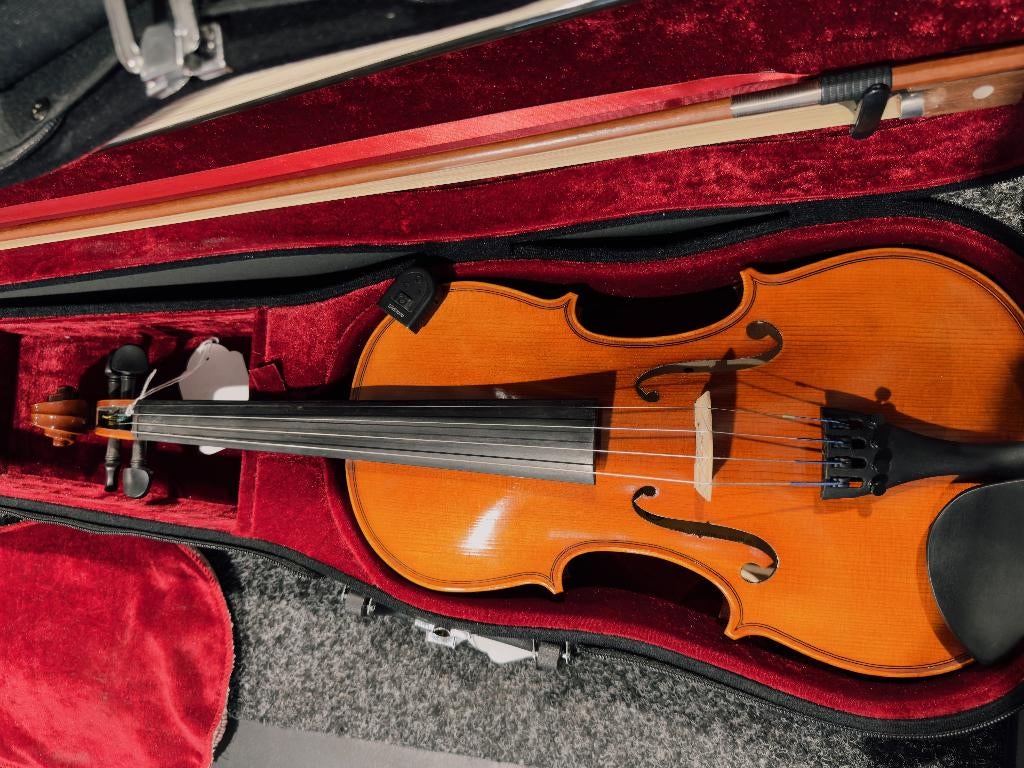 Samuel Eastman VL50 Viool 4/4, Muziek en Instrumenten, Strijkinstrumenten | Violen en Altviolen, Gebruikt, Viool, Ophalen of Verzenden