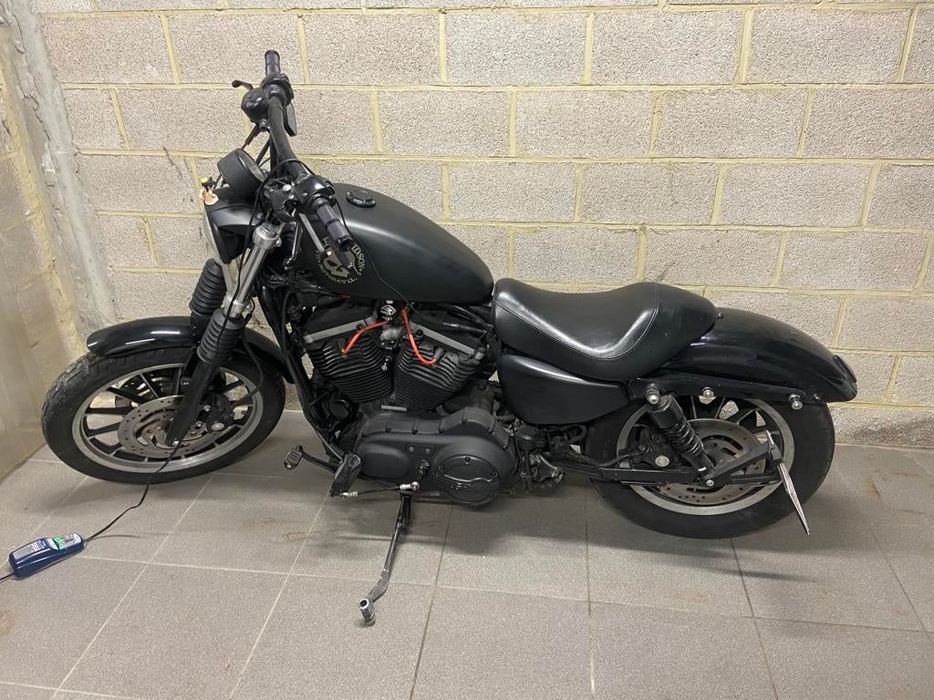 Harley davidson xl883r, Particulier