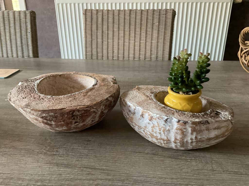 2 decratie cocosnoten, Enlèvement ou Envoi, Utilisé, Ovale, Balance