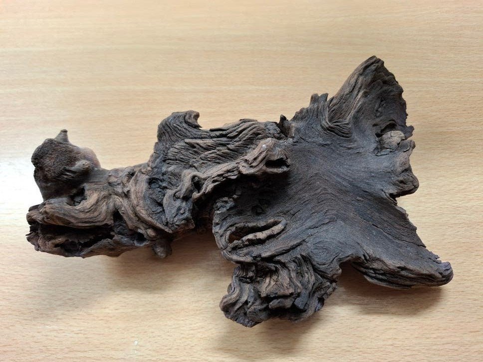Bois pour aquarium