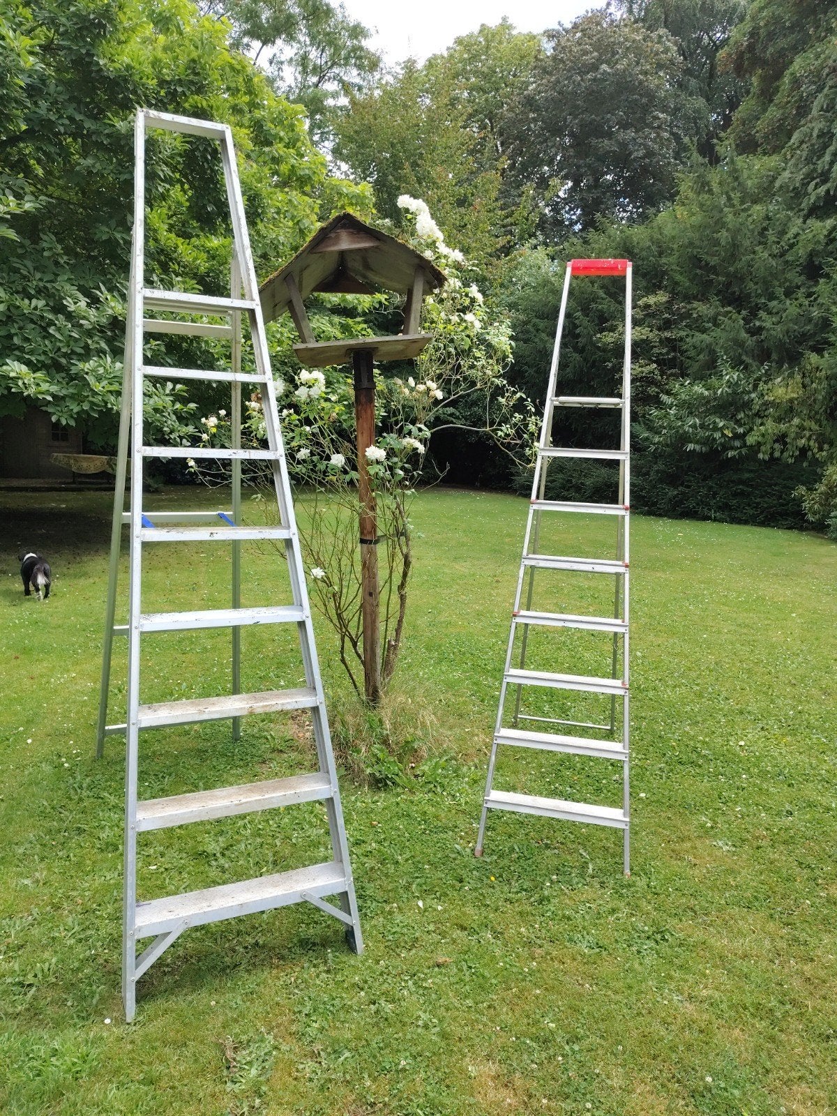 2 Aluminium trapladders, Enlèvement, Échelle