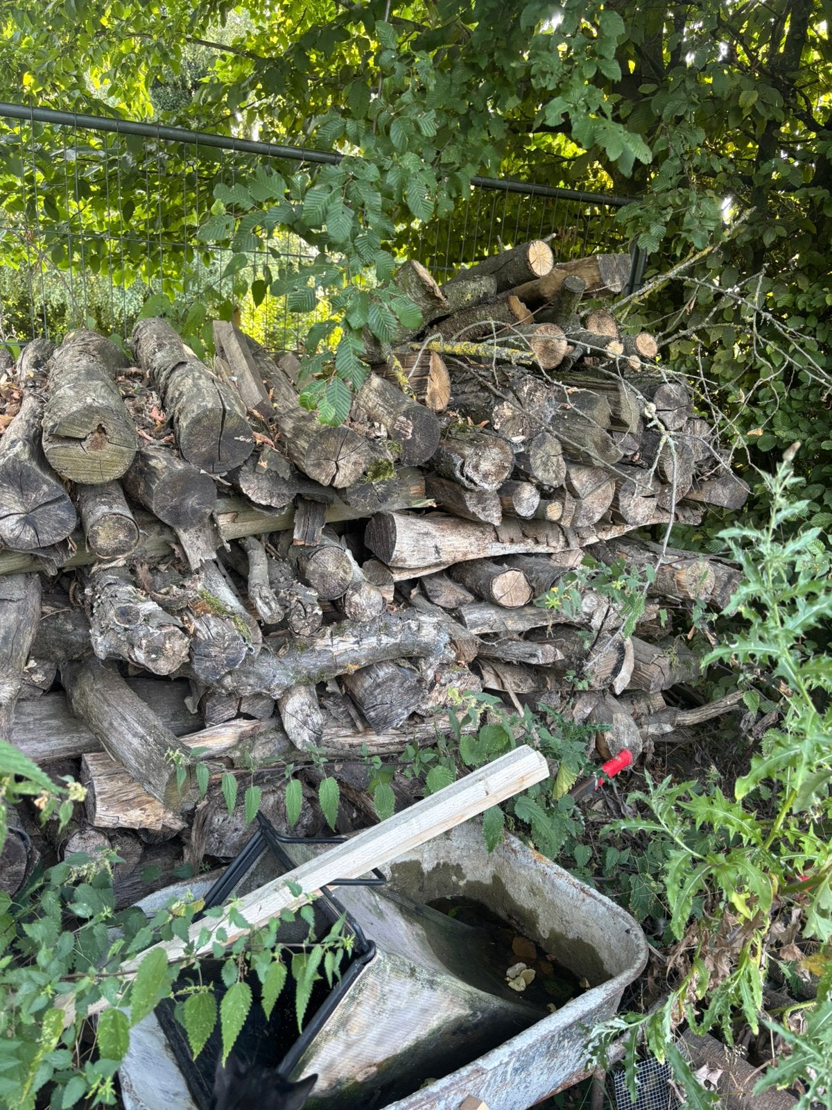 5 stères de bois bien sec, 3 à 6 m³, Enlèvement, Bûches