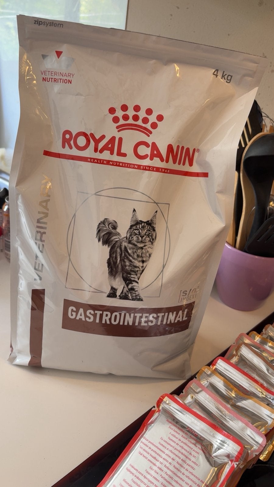 Katten eten, Dieren en Toebehoren, Ophalen