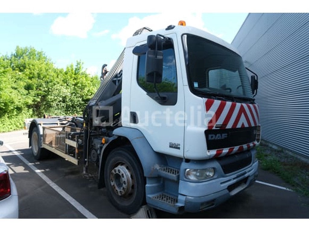 Containerwagen met kraan DAF LF 55.220, Overige brandstoffen, Bedrijf, DAF, Te koop
