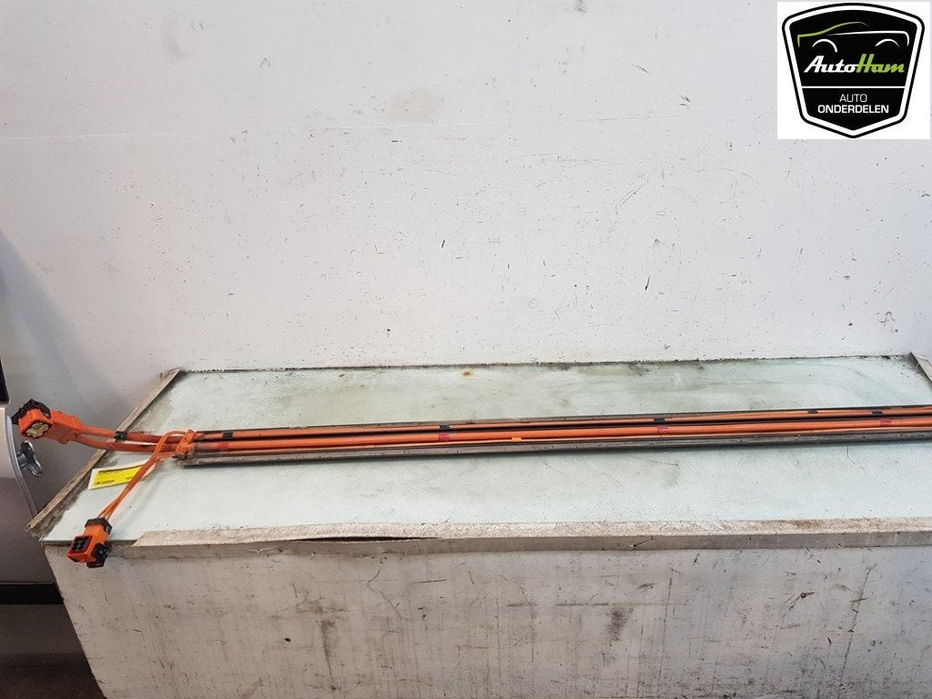 HV KABEL (HOOG VOLTAGE) (|110900300D|110900300F|110900300E|), Auto-onderdelen, Elektronica en Kabels, Overige automerken, Gebruikt
