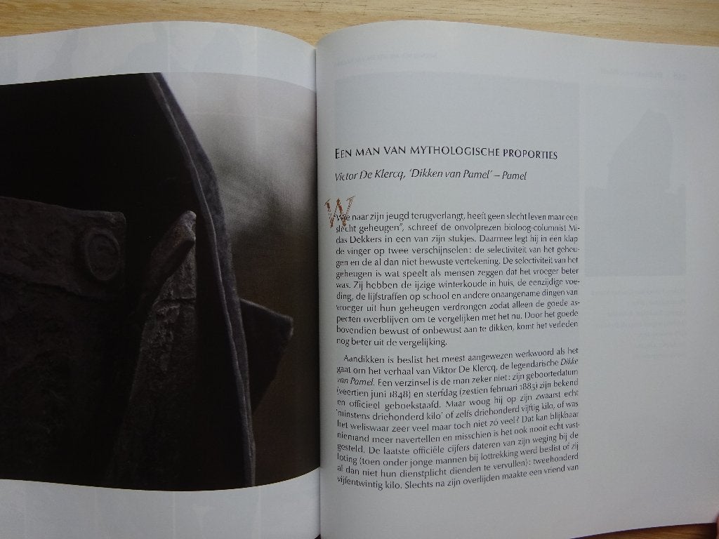 Beelden in het Pajottenland en iets meer, 2011, Beeldhouwkunst, Ophalen of Verzenden, Zo goed als nieuw, Heyvaert