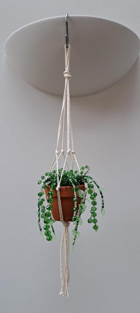 Schitterend suncatcher hangplantje in cachepot, Ophalen of Verzenden
