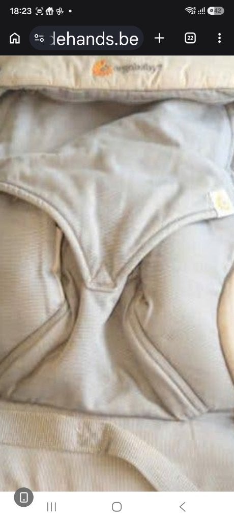 Baby Door, Enlèvement