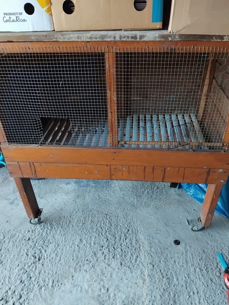 Dierenhok, Niche, Cobaye, Utilisé, 60 à 90 cm