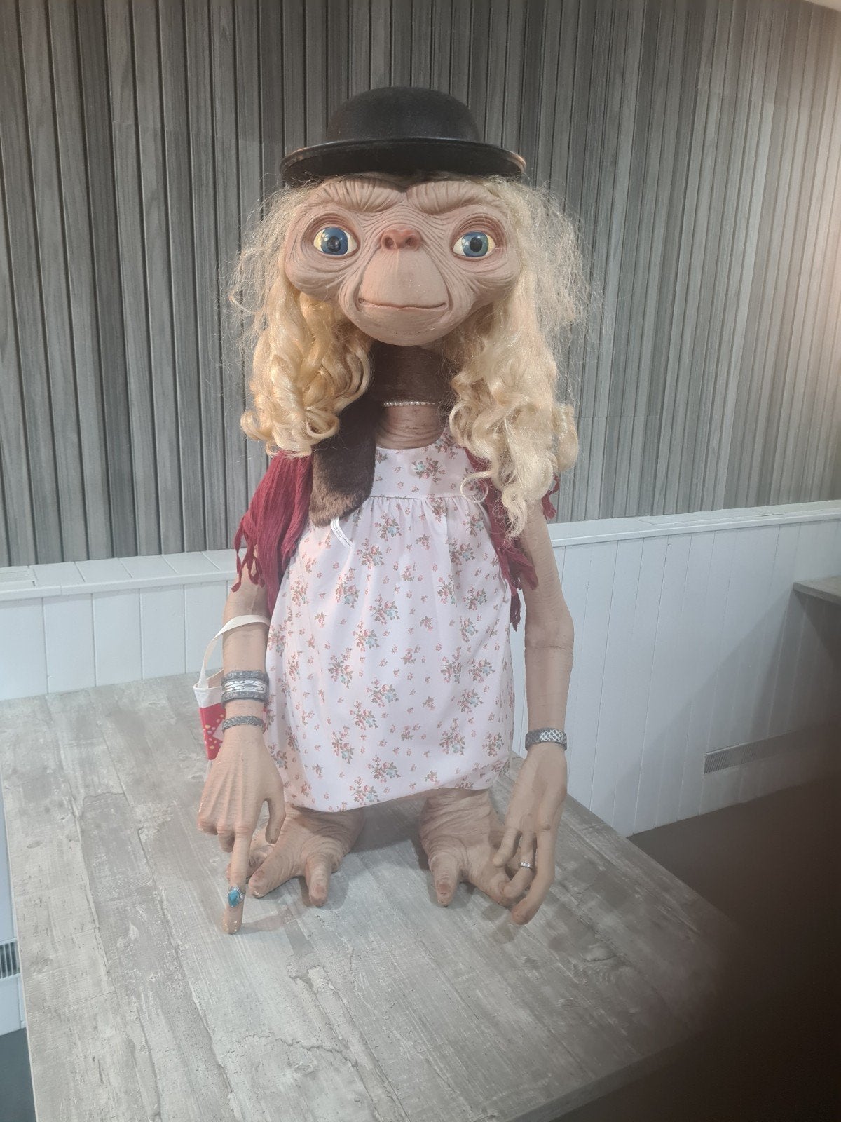 neca life size e.t. zeldzaam 1.1, Verzamelen, Ophalen