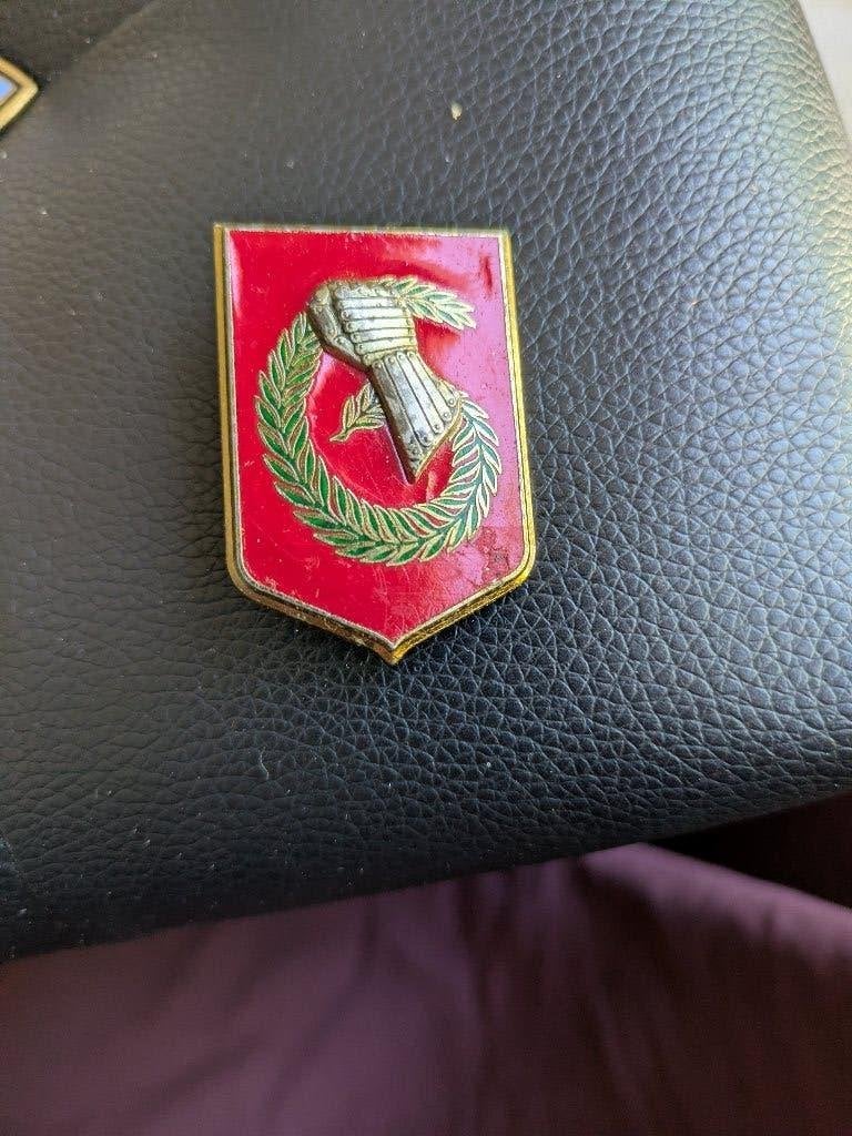 Speld leger, Ophalen of Verzenden, Landmacht, Embleem of Badge