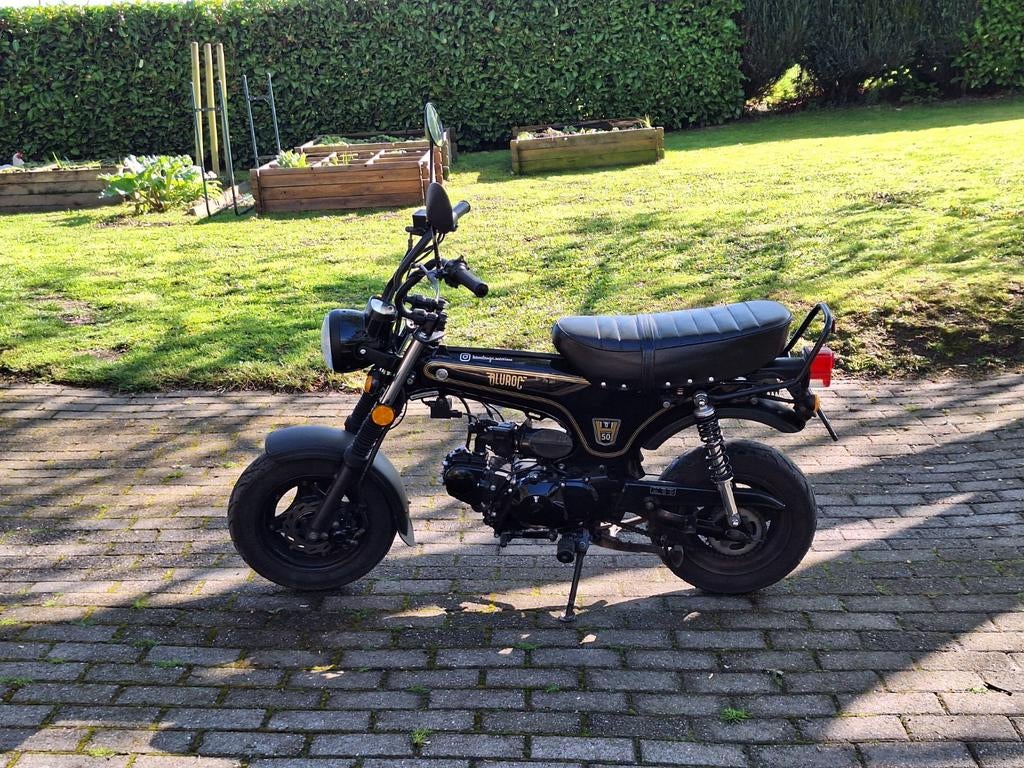 Dax Bluroc 50cc