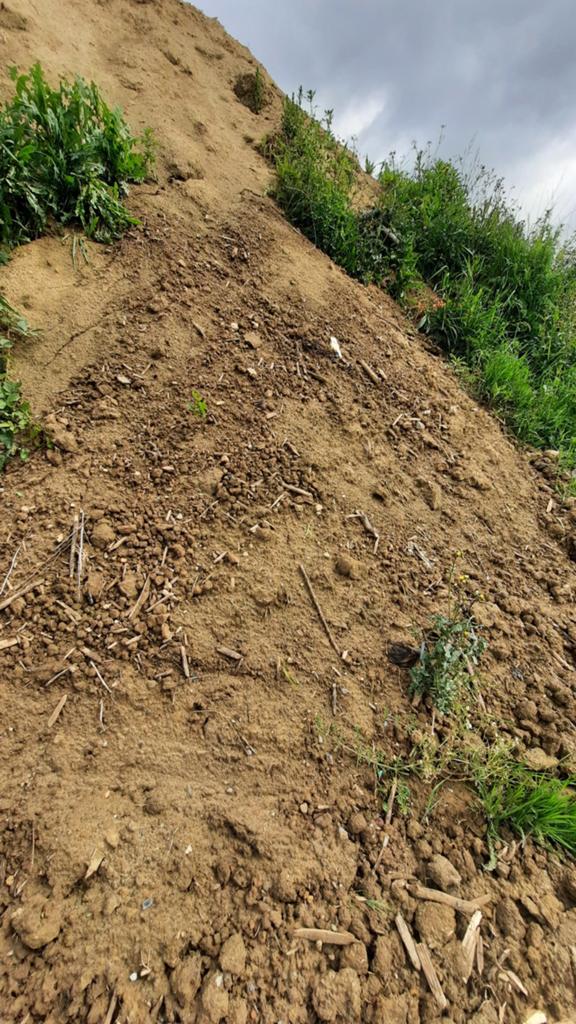 Terre propre à donner, Enlèvement