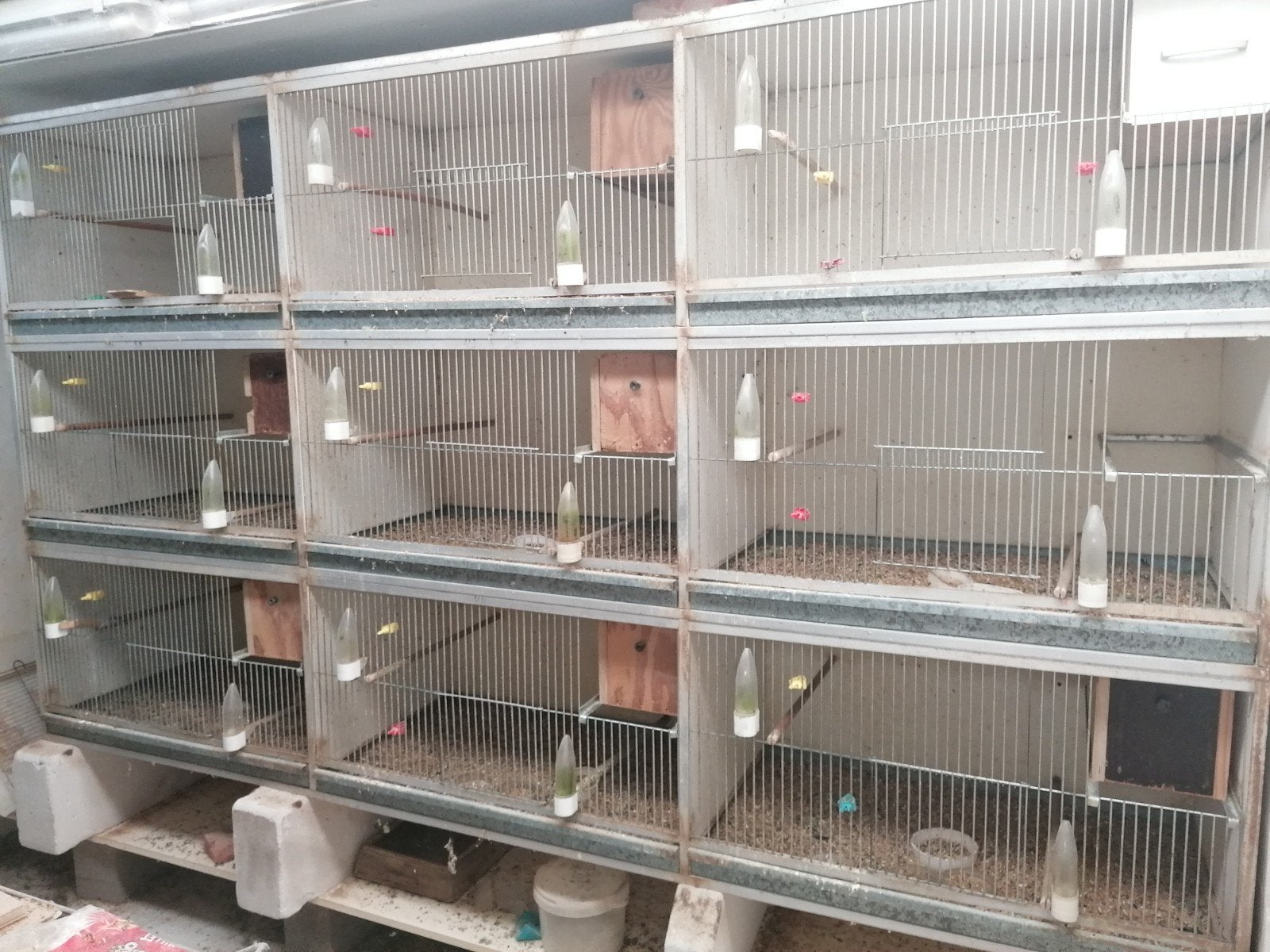 Van Keulen kweekkooien, Dieren en Toebehoren