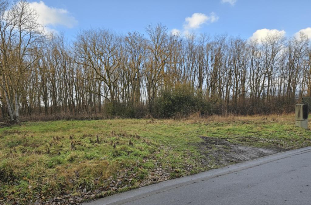 Bouwgrond 316m² in Somme-Leuze, Immo, Gronden en Bouwgronden, 200 tot 500 m²