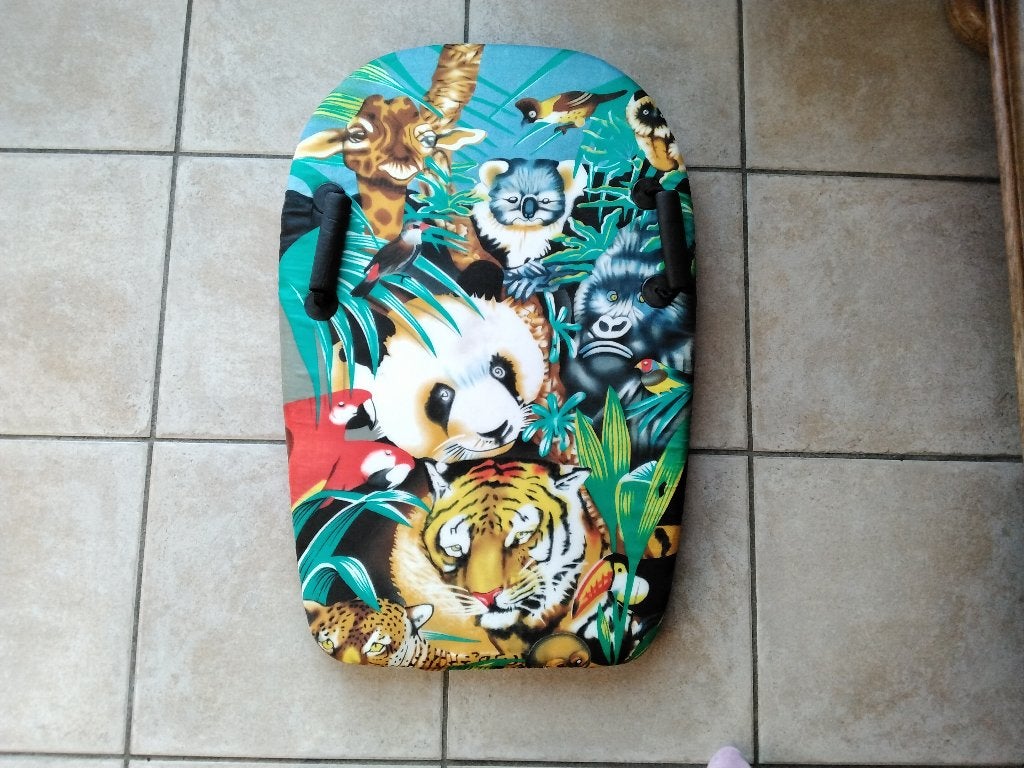 Planche Bodyboard enfants en polystyrène, Enlèvement, Utilisé, Autres types