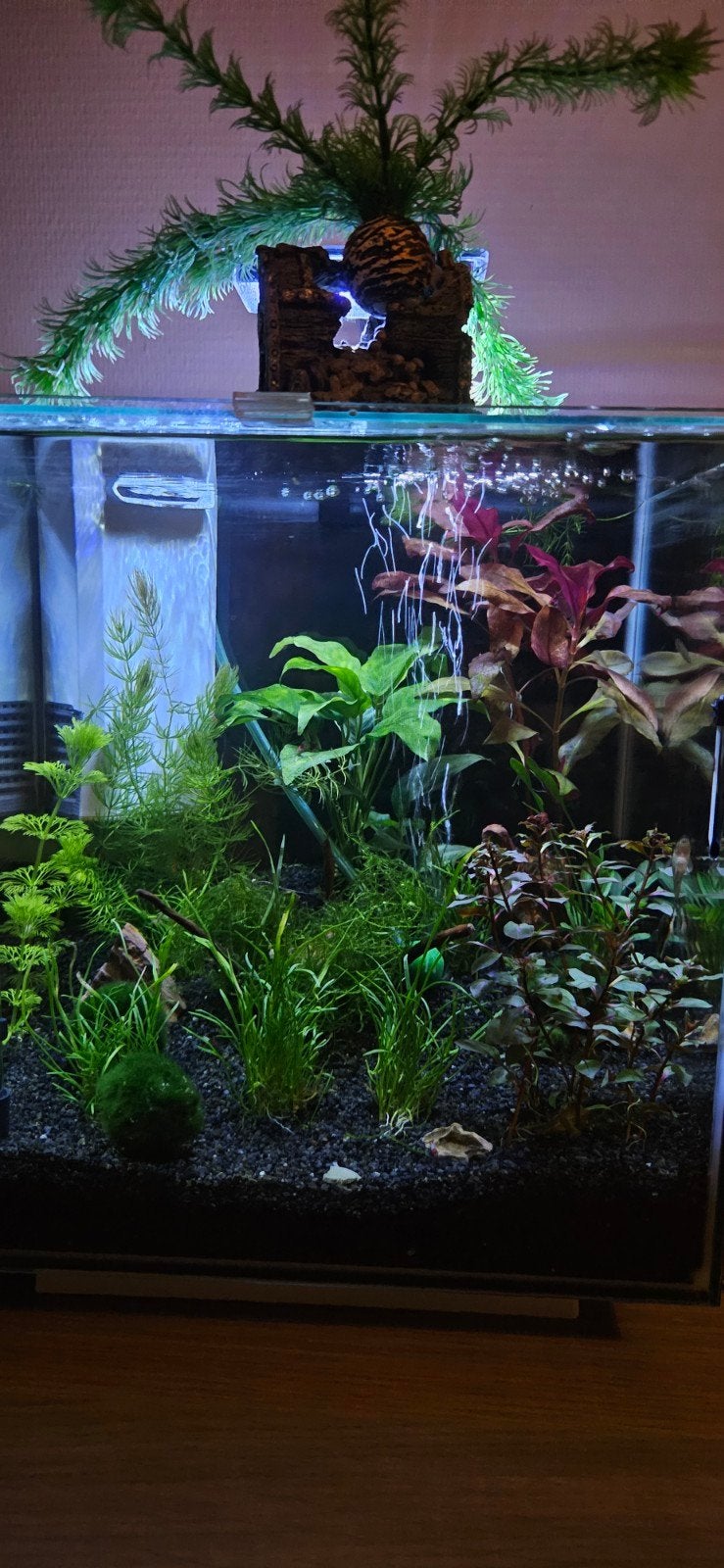 klein compleet aquarium, Animaux & Accessoires, Poissons | Aquariums & Accessoires, Comme neuf, Aquarium vide, Enlèvement