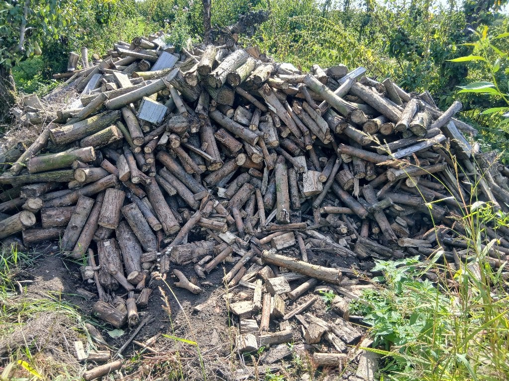 Brandhout, wilg, 6 m³ ou plus, Enlèvement, Autres essences de bois