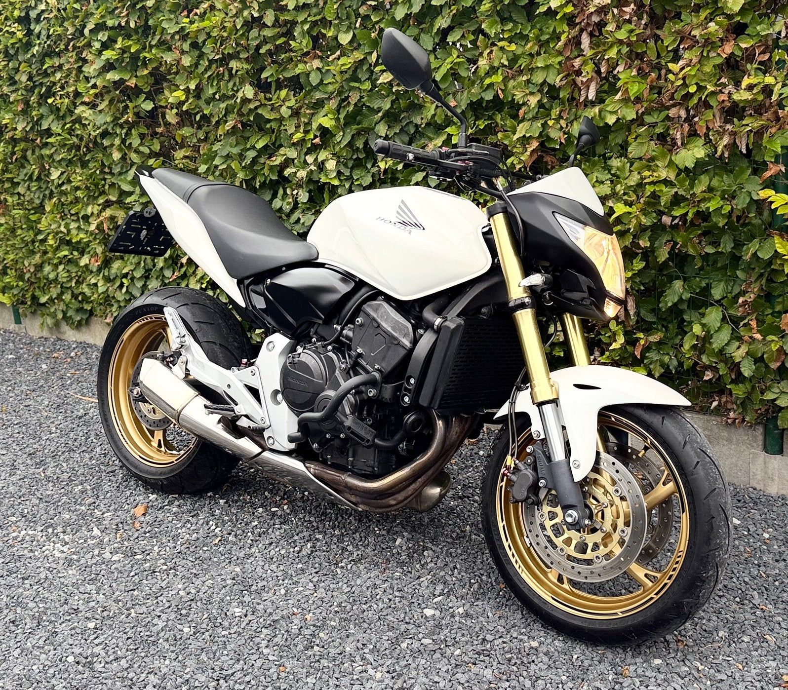 Moto honda hornet 2013, Motos, Motos | Honda, Particulier