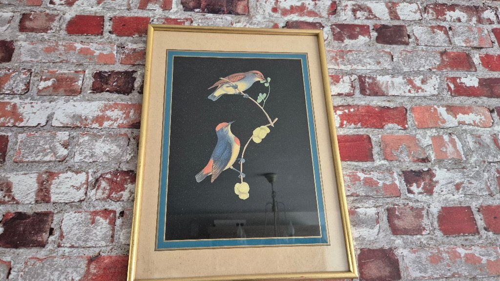 Kader ets schilderij vogels, Antiek en Kunst, Ophalen