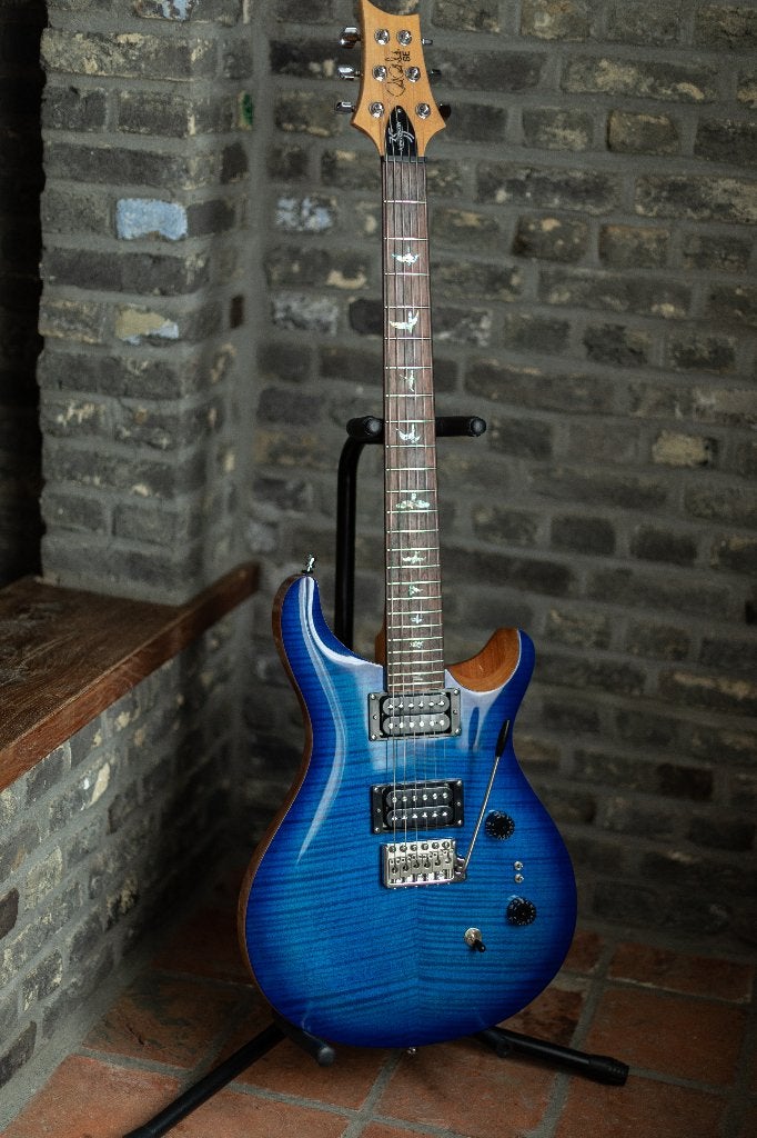 PRS SE 24 Custom 30 Anniversary Limited Edition, Musique & Instruments, Instruments à corde | Guitares | Électriques, Enlèvement