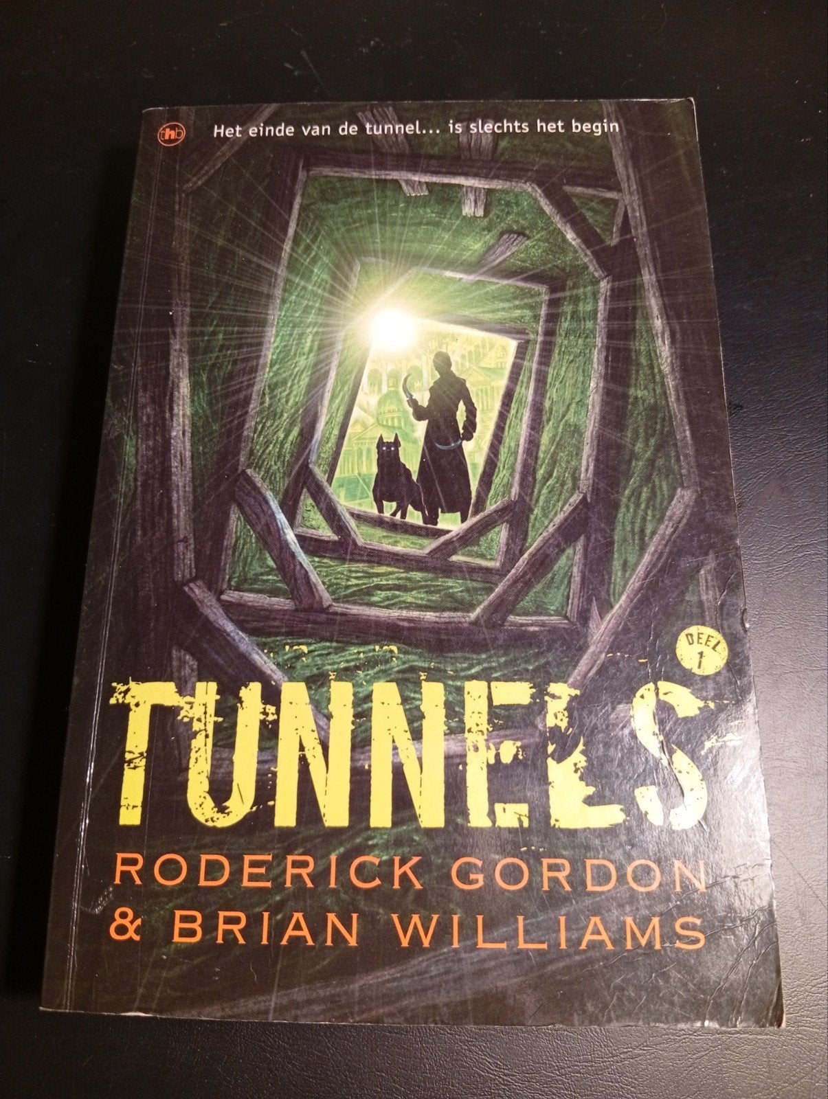 Tunnels deel 1, Livres, Livres pour enfants | Jeunesse | 13 ans et plus, Fiction, Roderick Gordon; Brian Williams, Enlèvement