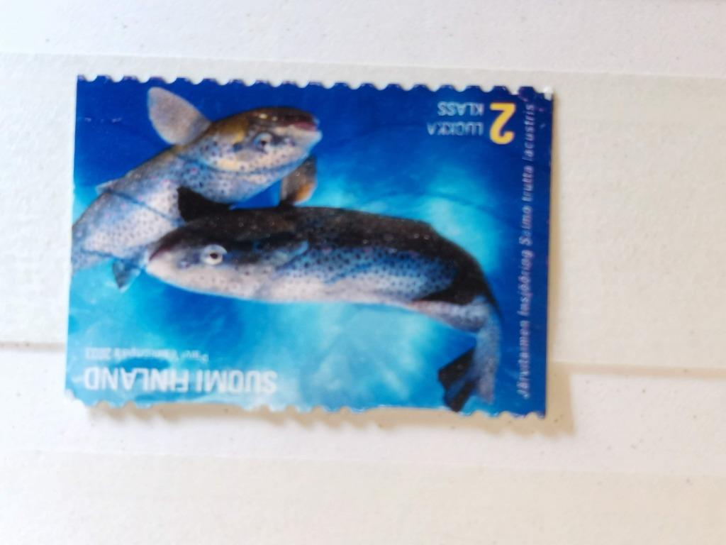 Finlande 2003 - pêche - truite de mer, Enlèvement ou Envoi, Affranchi, Animal et Nature