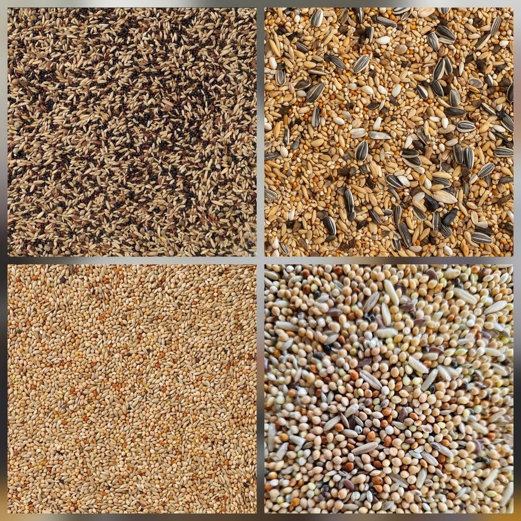 Mélanges standard - Toujours en stock - 1 à 5 kg ( + ), Enlèvement
