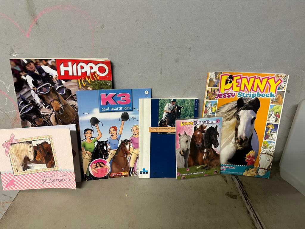 Paardenboekjes, Boeken, Dieren en Huisdieren, Ophalen of Verzenden, Zo goed als nieuw