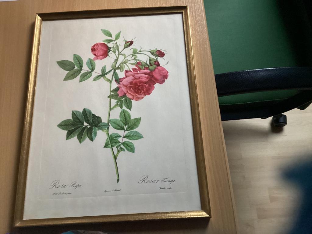 Imprimer Imprimerie de Remond, Enlèvement, Comme neuf, Moins de 50 cm, Imprimé