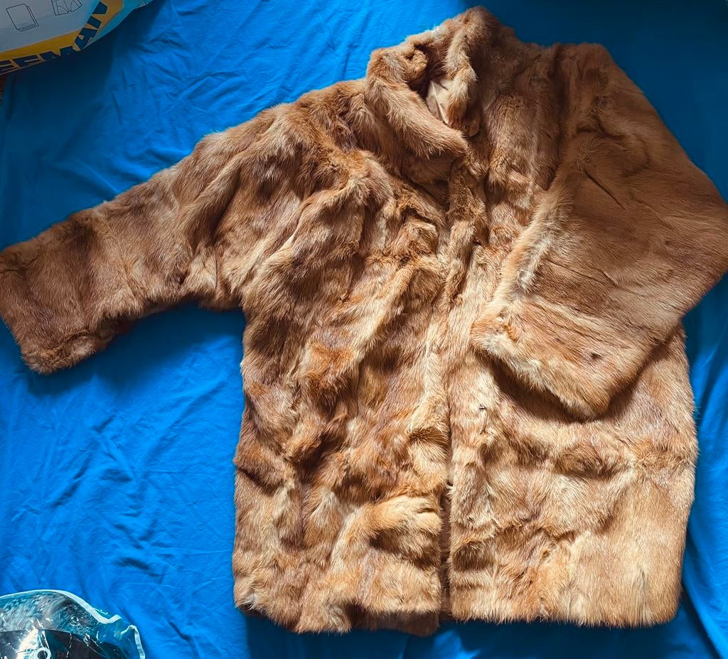 Winterjassen nieuw, Autres couleurs, Enlèvement, Taille 42/44 (L), Neuf