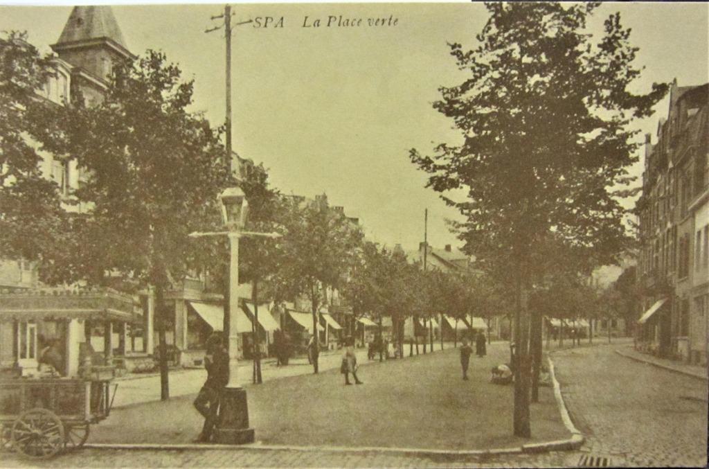 ZICHTKAARTEN- SPA- LE PLACE VERTE, Ophalen of Verzenden, Ongelopen, Stad of Dorp