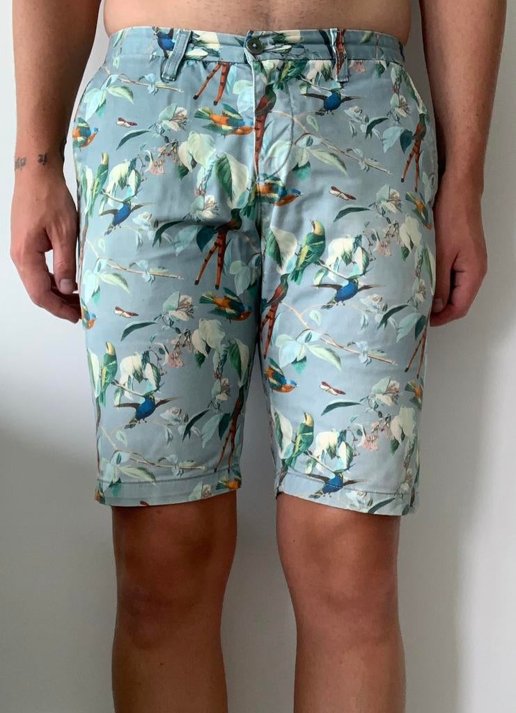 Antwrp short meerkleurig maat W31, Overige kleuren, Maat 48/50 (M), Ophalen of Verzenden, Zo goed als nieuw