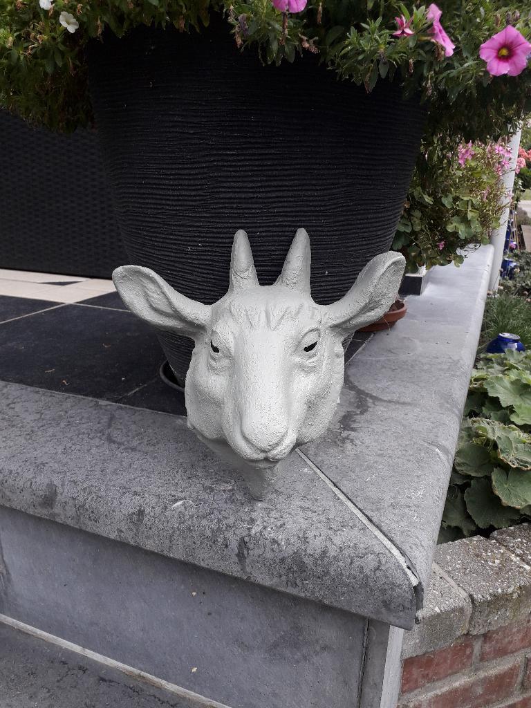 Mooie betonnen geitenkop, Ophalen, Zo goed als nieuw, Beton, Dierenbeeld