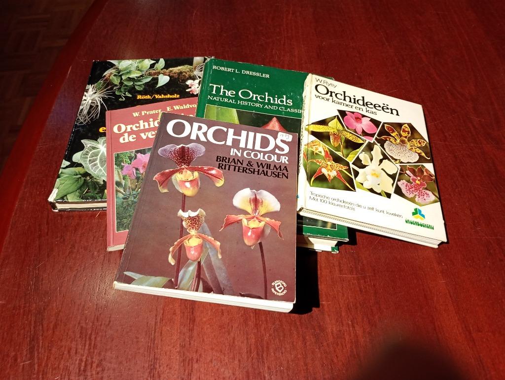 19 boeken over orchideeën in één pakket, Boeken, Wonen en Tuinieren, Zo goed als nieuw, Kamerplanten, Ophalen