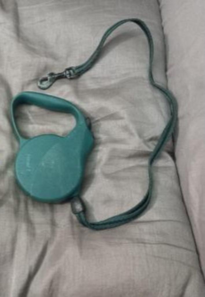 Differents accessoires pour chien 🐕, Enlèvement, Neuf, Laisse pour chien