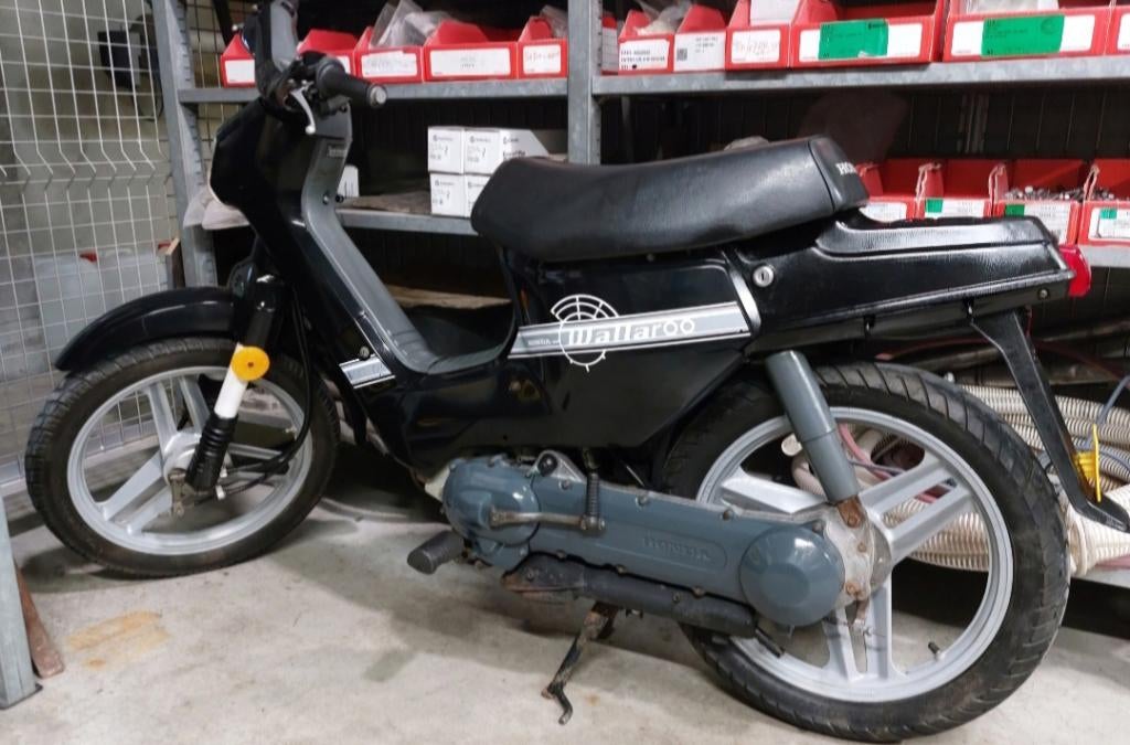 Honda wallaroo Classe A Full origine, Neuf, Enlèvement, Classe A (25 km/h), Standard