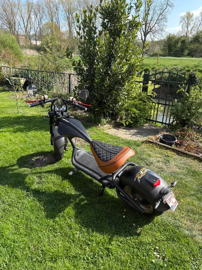 E-chopper